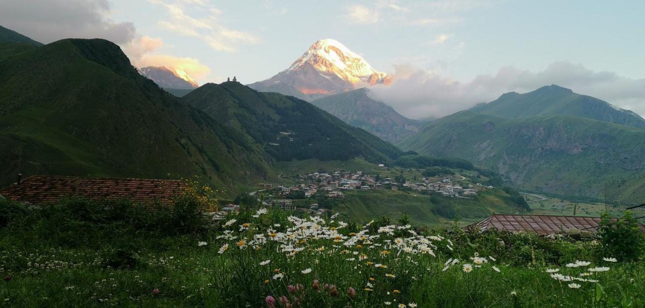 Aronia Kazbegi Hotel Exterior photo